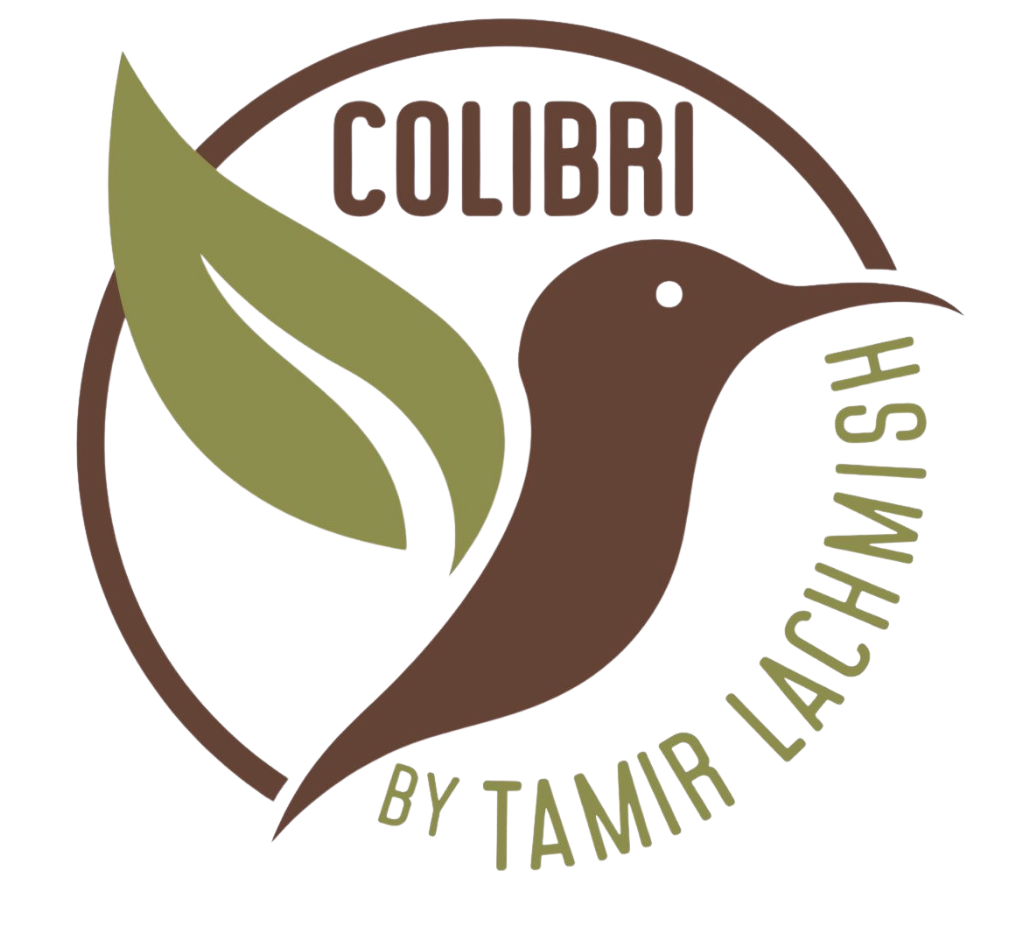 Colibri by Tamir Lachmish